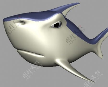 卡通鲨鱼模型