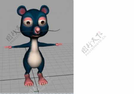 老鼠模型