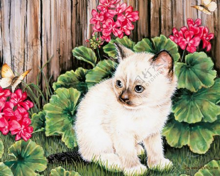 可爱的小猫油画