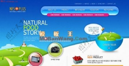 韩国自然美食介绍网页模板