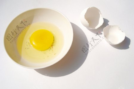 鸡蛋的蛋黄