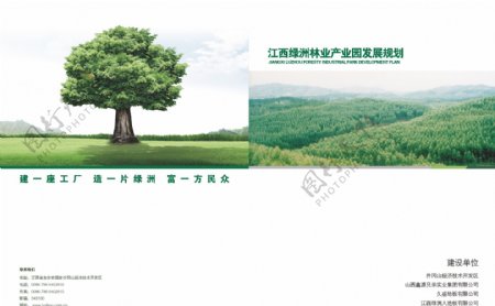 绿洲林业样本画册设计图片