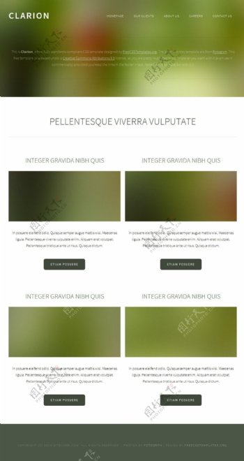 绿朦胧简单信息网页模板