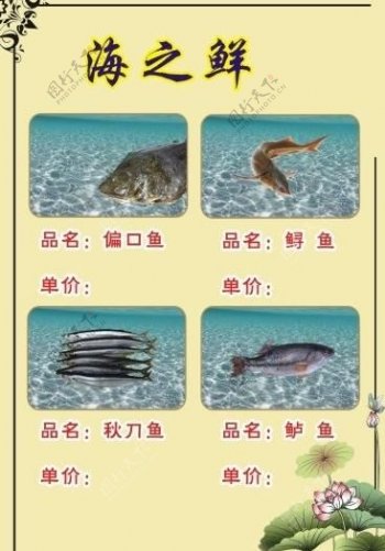 海鲜鱼类菜单图片