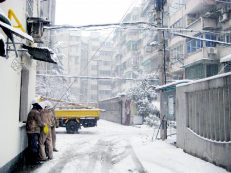 雪中情图片