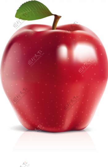 红苹果矢量图片
