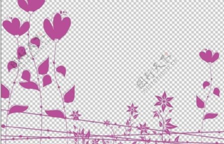墙纸紫藤花图片