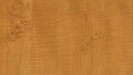 枫木28木纹木纹板材木质