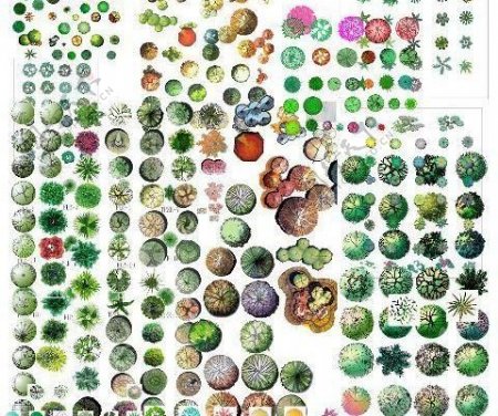 彩色平面图植物素材PSD