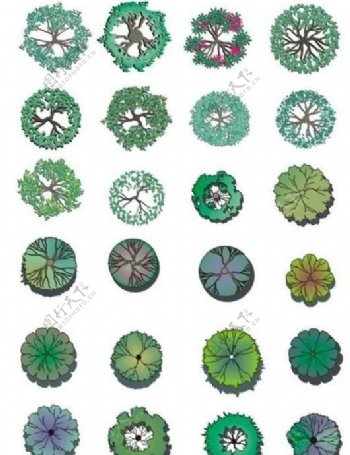 设计素材植物彩平图例
