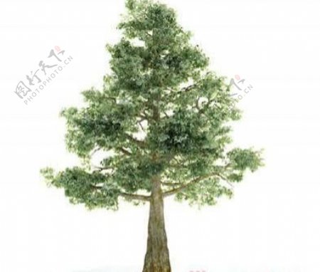 国外精品植物树木灌木3D模型85套2