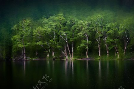 银环湖如同一面翠绿的镜子镶嵌在长白山