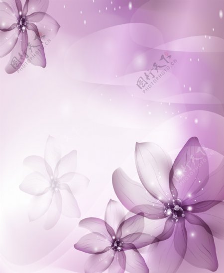 紫色梦幻花