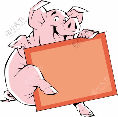 卡通小猪边框