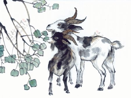 中华艺术绘画古画动物绘画羊中国古代绘画
