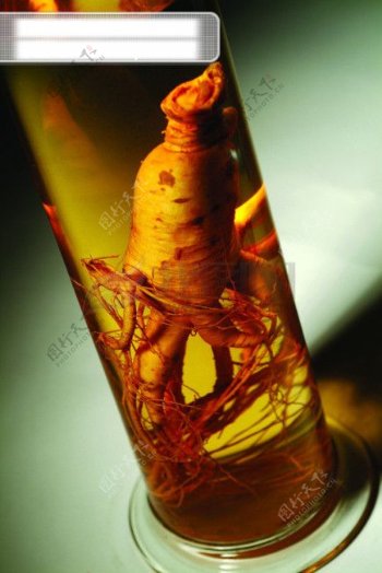 生化科技试管细胞组织液微生物人体