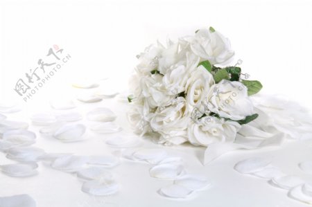 白色花束