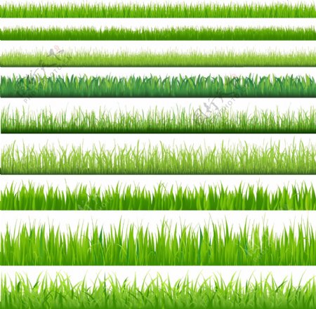 绿色小草花边矢量图