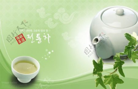 韩国文化展板海茶树叶