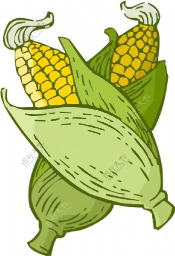 印花矢量图卡通植物蔬菜玉米色彩免费素材