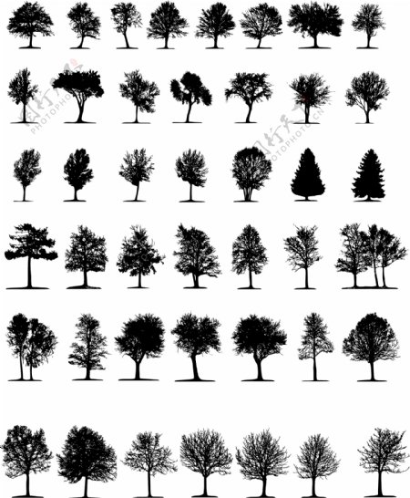 各种树木剪影矢量素材