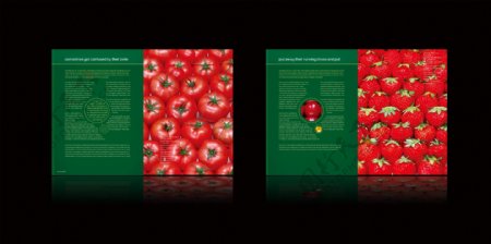 草莓营养画册图片