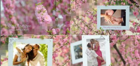 美丽清新的樱花婚礼相册AE模板