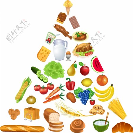 食物金字塔矢量素材图片