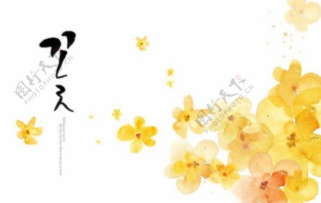 韩国黄色花朵图案PSD素材