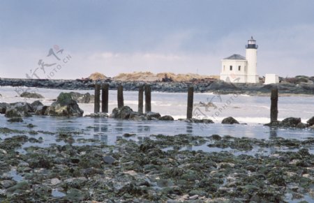 海岸灯塔图片