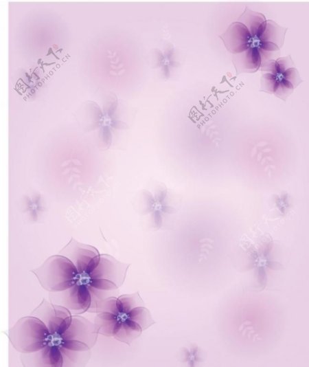 紫色梦幻花朵背景图片