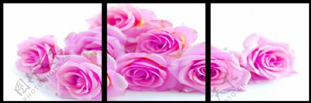 紫玫瑰装饰画图片