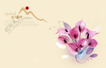 鲜花花朵装饰装修浪漫柔情梦幻韩国花纹图库2psd分层素材源文件