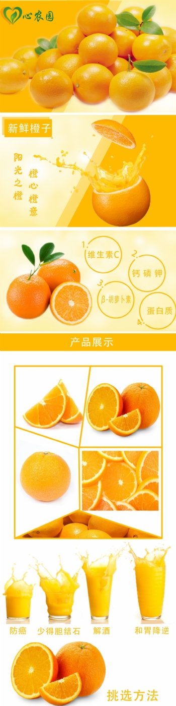 水果橙子淘宝设计