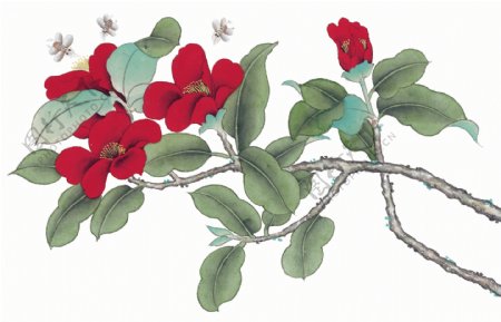中国风花小鸟喜鹊牡丹桃花芍药中华艺术绘画