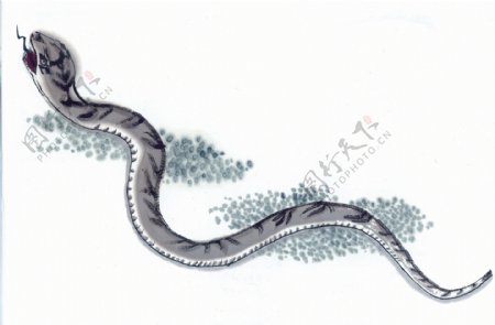 中华艺术绘画古画动物绘画蛇中国古代绘画