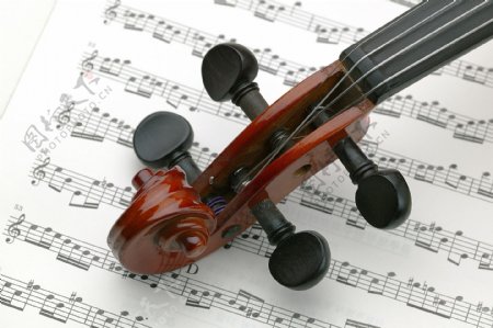 琴头小提琴图片