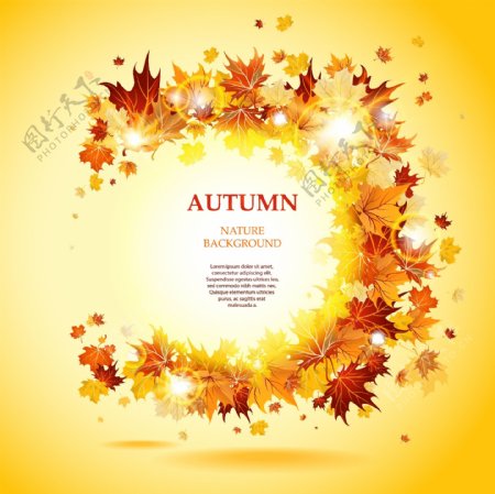 美丽的秋天叶子牌03矢量素材