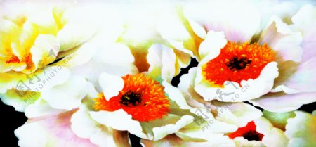 无框画油画花卉图片