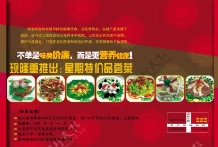 美味菜肴宣传页宣传单海报