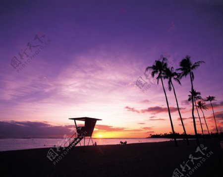 夏威夷夜景图片