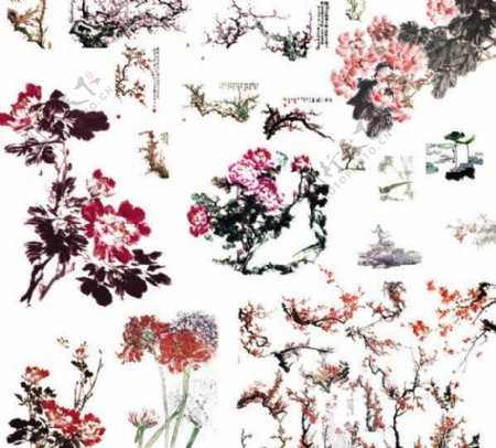 中国风水墨花卉花朵图片