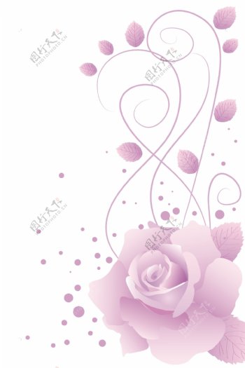 矢量粉色玫瑰花朵装饰背景