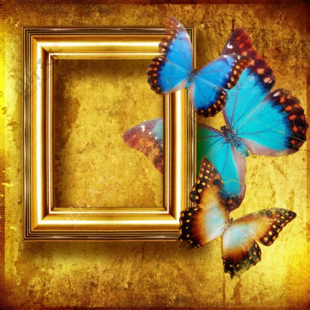 古典相框边框蝴蝶图片