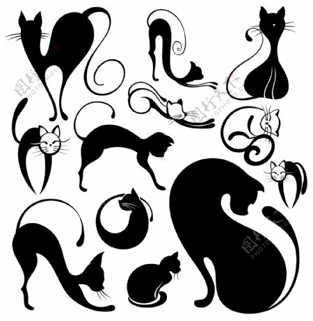 手绘线条猫图片