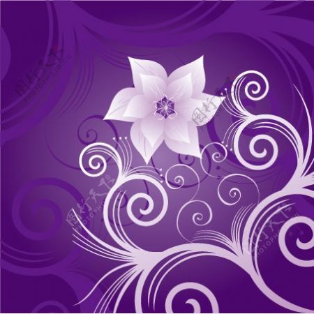 紫底白花背景