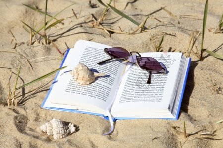 沙滩书和眼镜图片