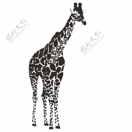 印花矢量图色彩黑白色长颈鹿花纹免费素材