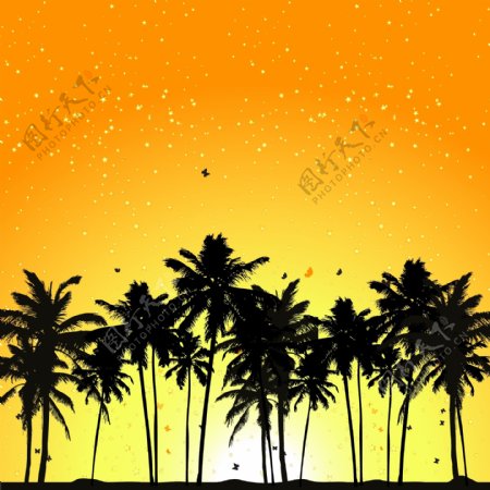 棕榈树矢量素材图片