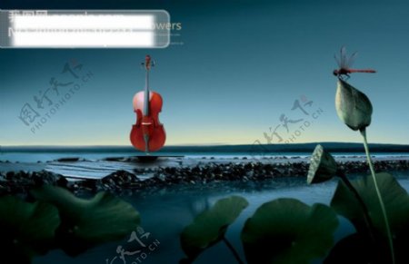 小提琴创意设计小提琴创意设计莲花湖水暗色调蜻蜓荷花PSD格式300DPI